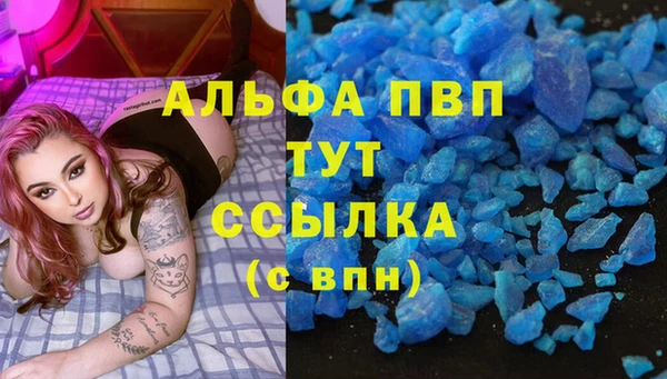 PSILOCYBIN Михайлов