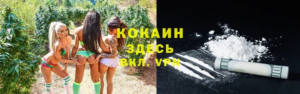 соль ск Аркадак